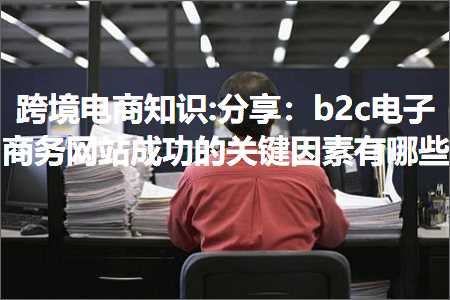 璺ㄥ鐢靛晢鐭ヨ瘑:鍒嗕韩锛歜2c鐢靛瓙鍟嗗姟缃戠珯鎴愬姛鐨勫叧閿洜绱犳湁鍝簺